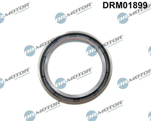 LIZARTE DRM01899