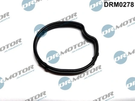 LIZARTE DRM0278