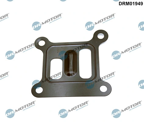 LIZARTE DRM01949
