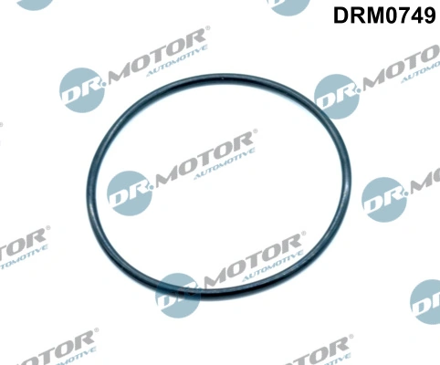 LIZARTE DRM0749