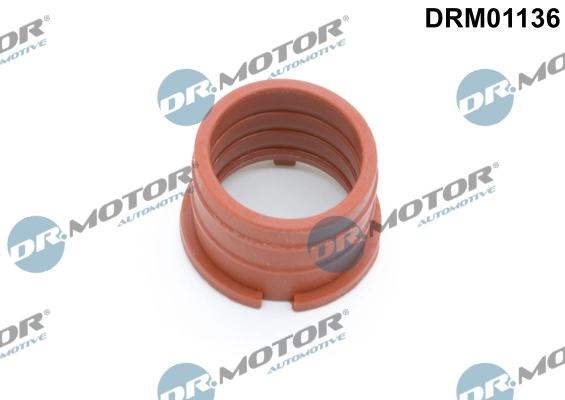 LIZARTE DRM01136
