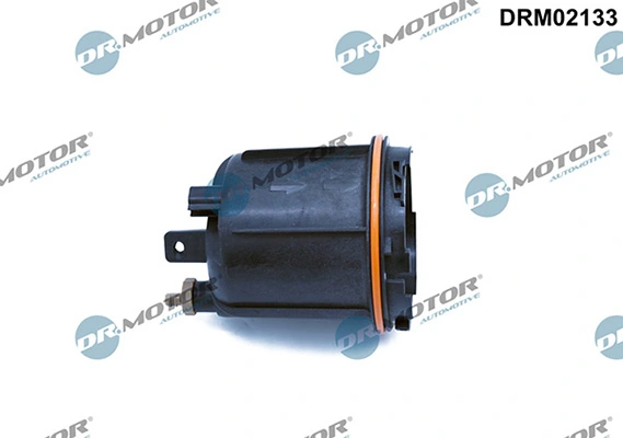 LIZARTE DRM02133