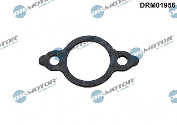 LIZARTE DRM01956
