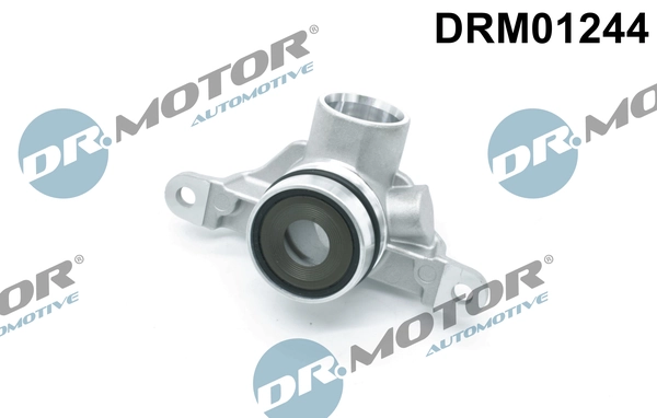 LIZARTE DRM01244