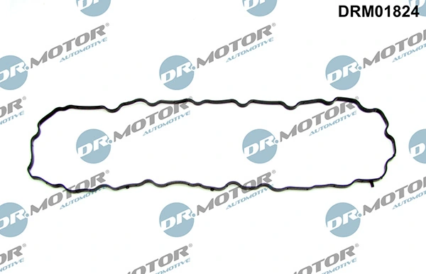 LIZARTE DRM01824