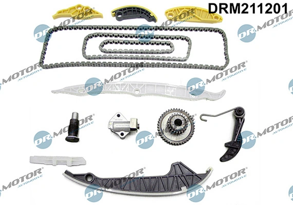 LIZARTE DRM211201