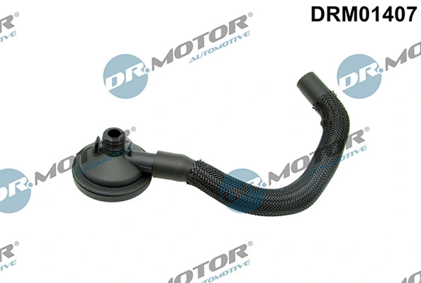 LIZARTE DRM01407
