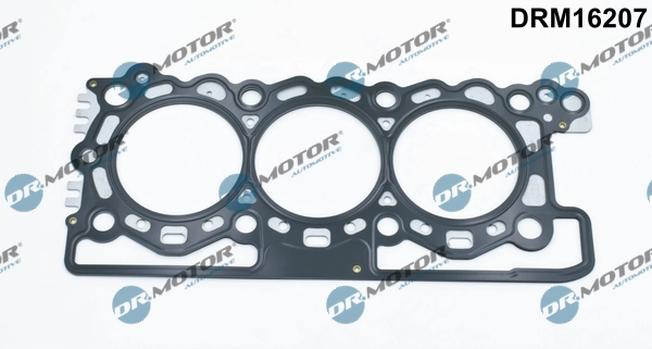 LIZARTE DRM16207