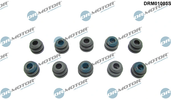 LIZARTE DRM01003S