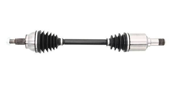 LIZARTE DS1304