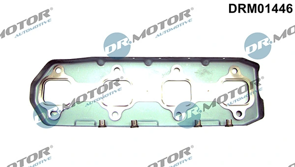LIZARTE DRM01446