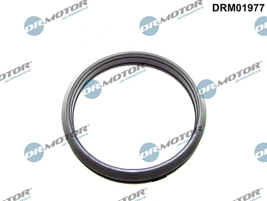 LIZARTE DRM01977