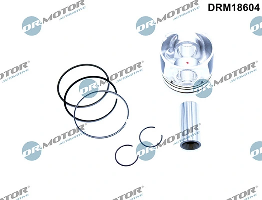LIZARTE DRM18604