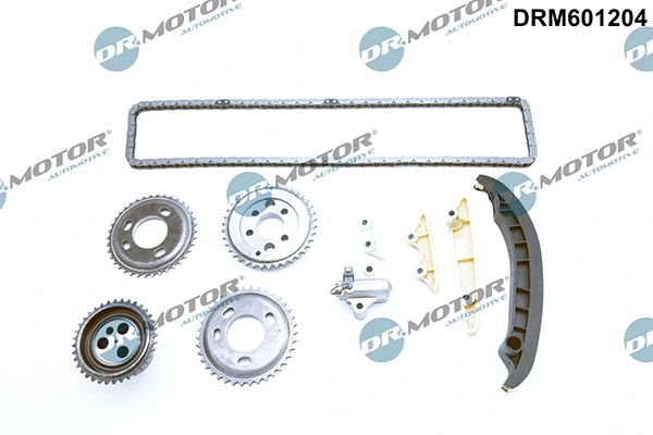 LIZARTE DRM601204