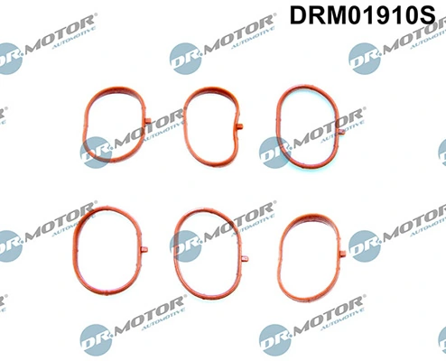 LIZARTE DRM01910S