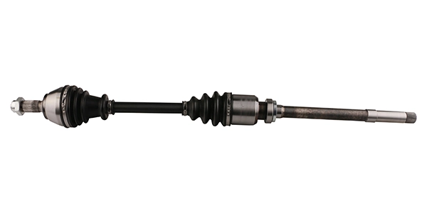LIZARTE DS0227