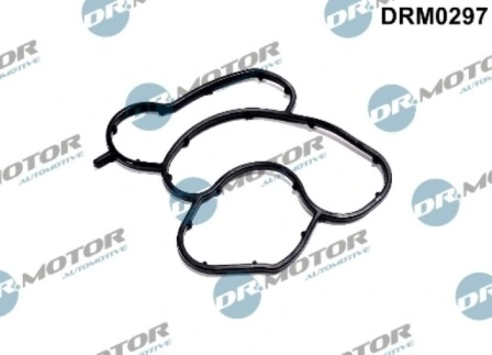 LIZARTE DRM0297