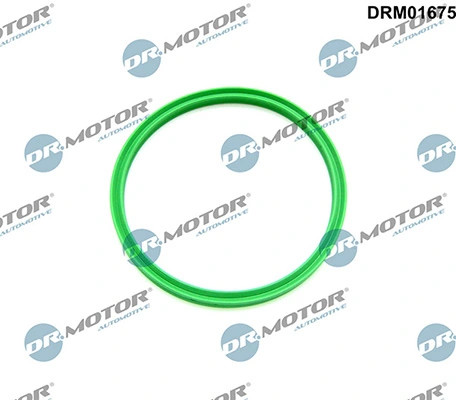 LIZARTE DRM01675
