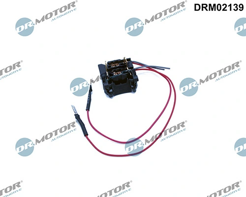 LIZARTE DRM02139