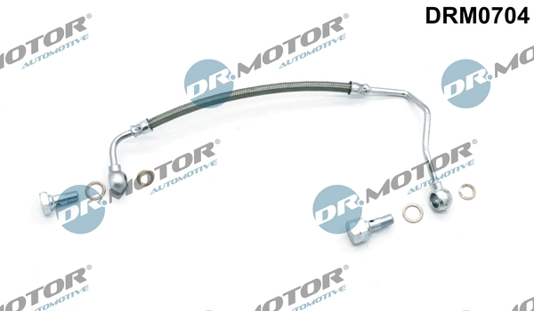 LIZARTE DRM0704