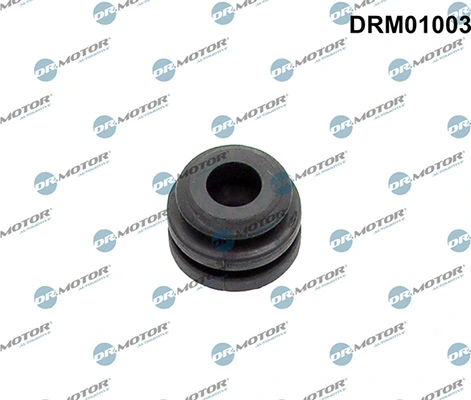 LIZARTE DRM01003