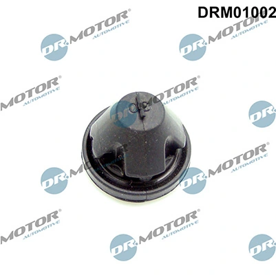 LIZARTE DRM01002