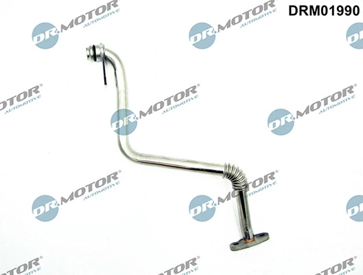 LIZARTE DRM01990