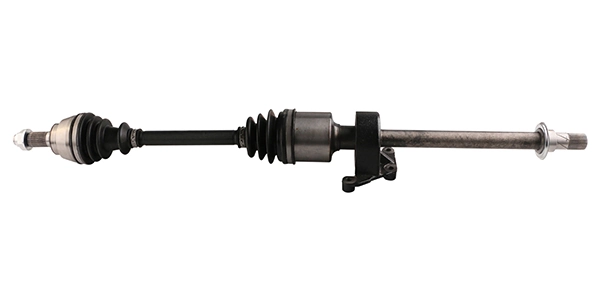 LIZARTE DS0424