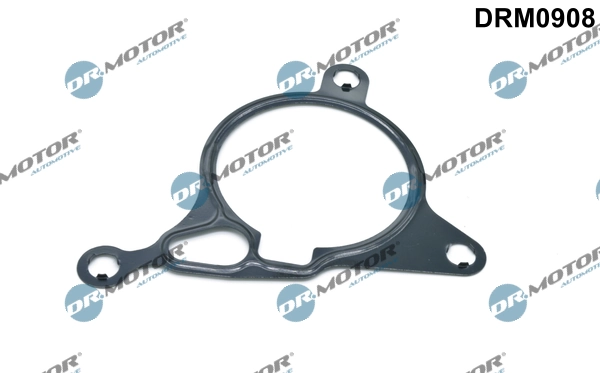 LIZARTE DRM0908