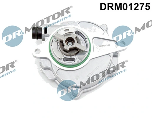 LIZARTE DRM01275