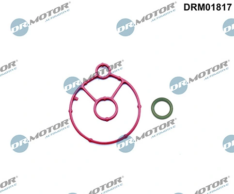 LIZARTE DRM01817