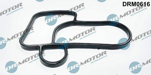 LIZARTE DRM0616