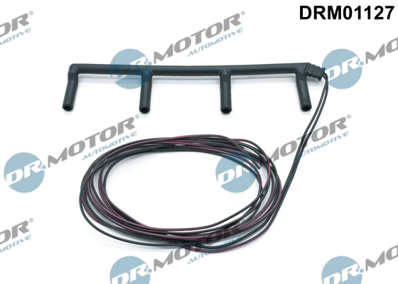 LIZARTE DRM01127
