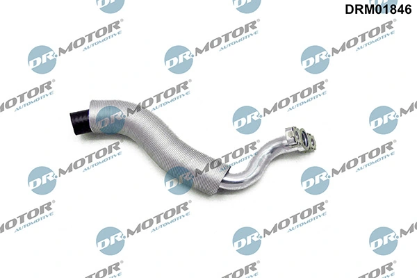LIZARTE DRM01846