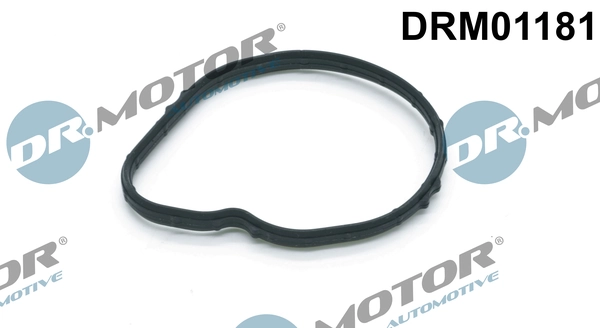 LIZARTE DRM01181