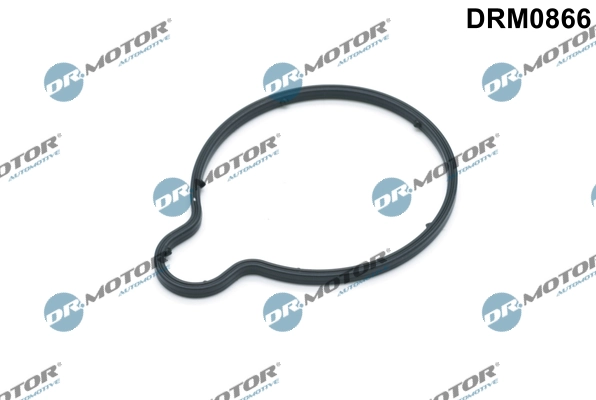 LIZARTE DRM0866