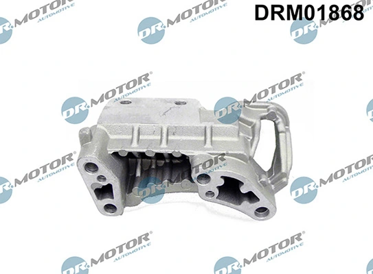 LIZARTE DRM01868