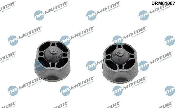 LIZARTE DRM01007