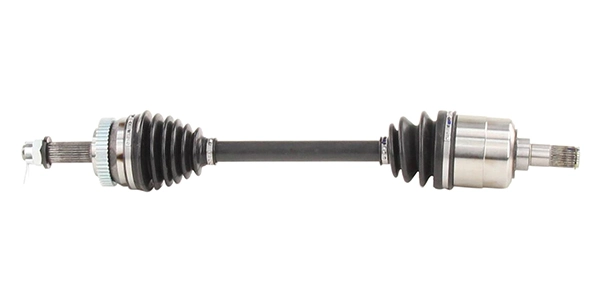 LIZARTE DS1340