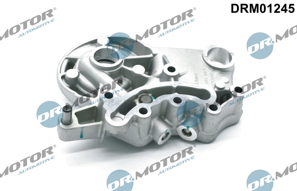 LIZARTE DRM01245