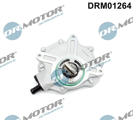 LIZARTE DRM01264