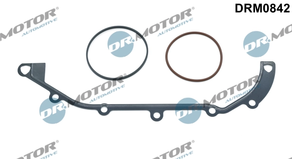 LIZARTE DRM0842