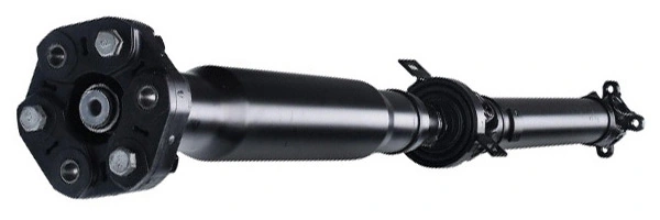 LIZARTE PS0026