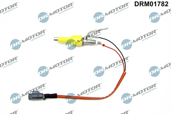 LIZARTE DRM01782