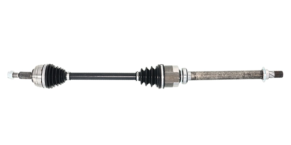 LIZARTE DS1616