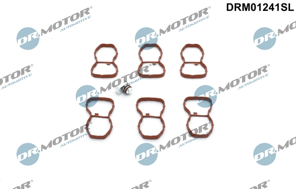 LIZARTE DRM01241SL