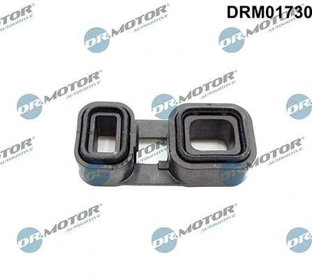 LIZARTE DRM01730