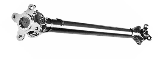 LIZARTE PS0039