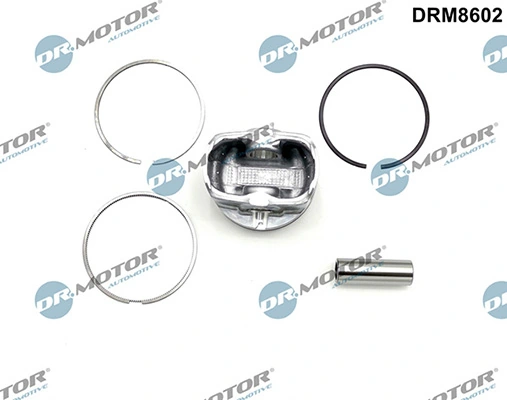 LIZARTE DRM8602