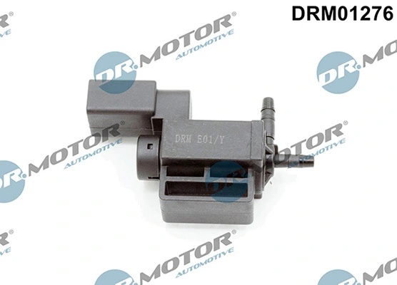 LIZARTE DRM01276